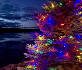Clark Lake community photo