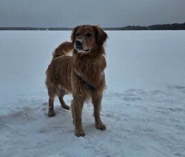 Clark Lake community photo