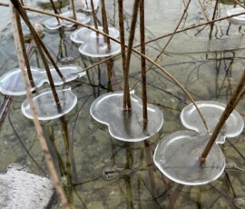 Clark Lake winter event photo