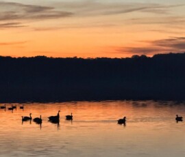 Clark Lake photo gallery image